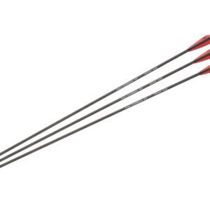 Šípy NXG Carbon 30" Spine 400, 3ks