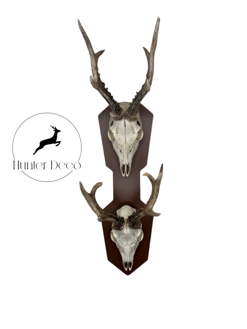 2907202568885865bee1b.jpeg Dupla kombinált függőleges