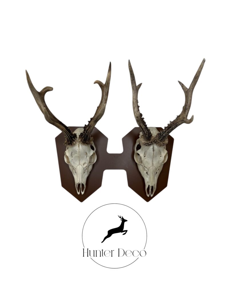 290720256888586831b2b.jpeg Dupla kombinált vízszintes