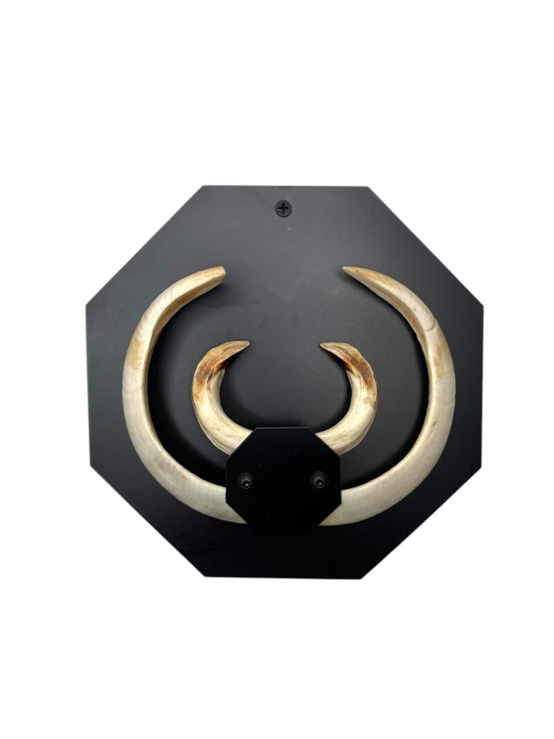 Nyolcszögletű fali konzol