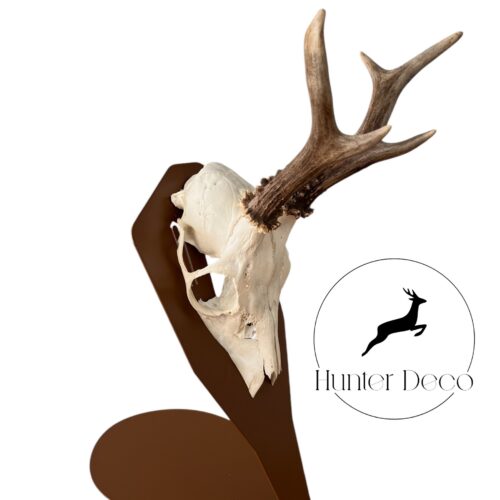 Stojan na seřezanou lebku