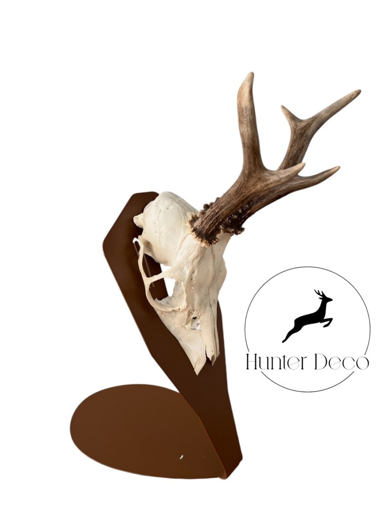 Stojan na seřezanou lebku