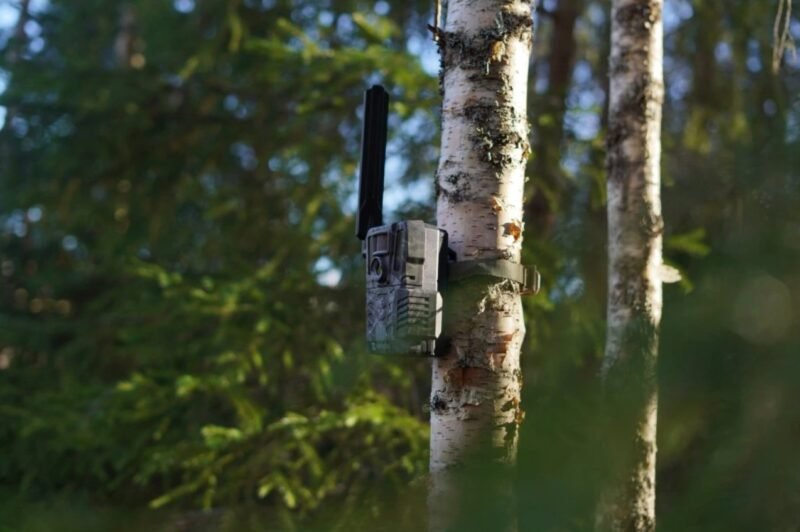 Hikmicro M15 vadkamera